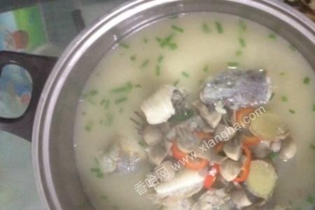 原汁原味的鱼汤做法