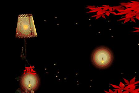 今夜无眠什么意思