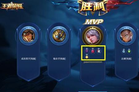 王者没有隐身了怎么办