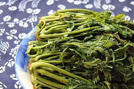 怎样腌香椿不坏还好吃