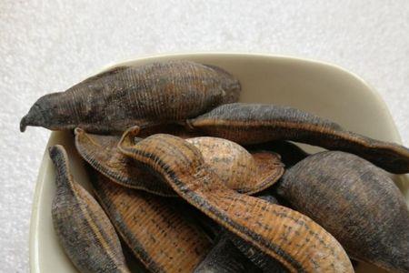 水蛭煮几分钟能熟