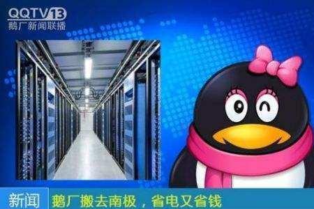 猪场鹅厂鸡场什么意思