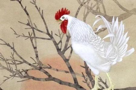 鸡鸣狗叫是成语吗