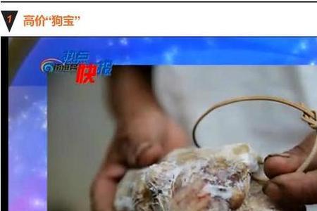 牛宝是怎样形成的