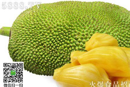 东莞菠萝蜜几月份成熟