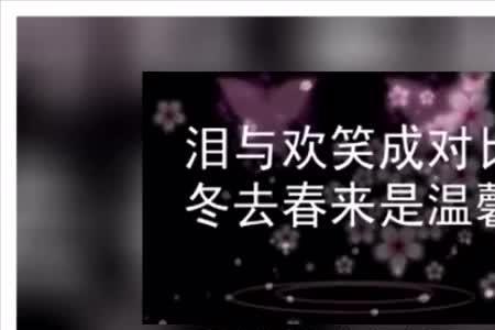 泪与欢笑成对比是什么意思