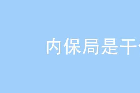 什么是内保