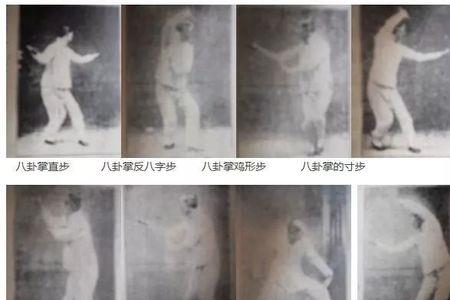 绕树走八卦步的走法