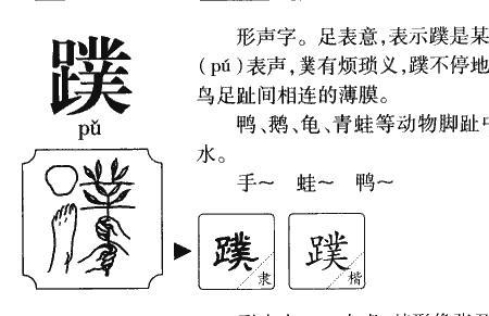 甫的读音是pu吗