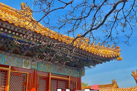 为什么紫禁城要锁起来