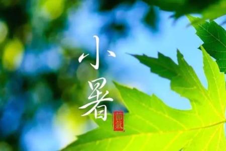 夏至至小暑之间的时间段叫什么