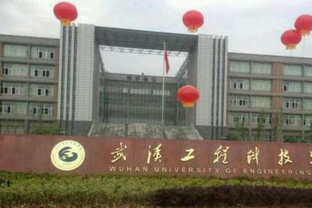 武汉生物科技学院是公立的吗