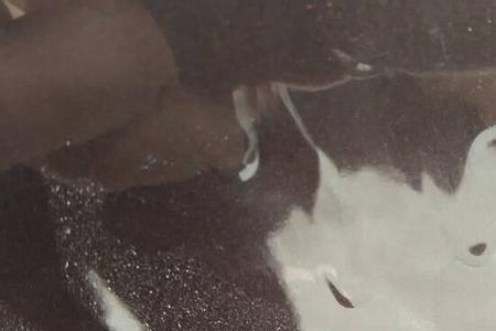 汽车清漆掉了抛光能恢复吗