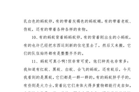对蚂蚁窝的描写50字