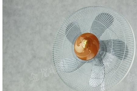 金龙电扇厂子什么时候建厂的