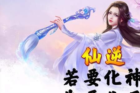 仙逆中王林的道心是谁