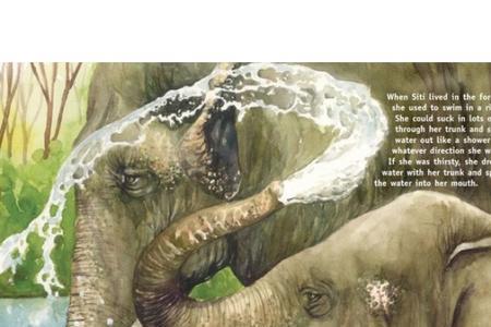 elephant 同音