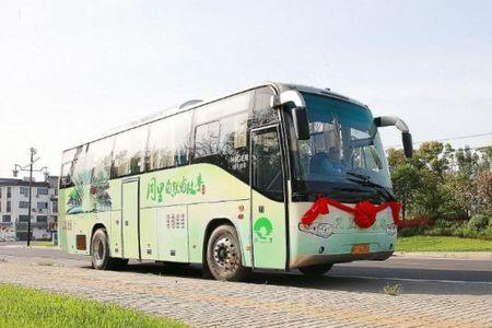 城际大巴可以带宠物吗