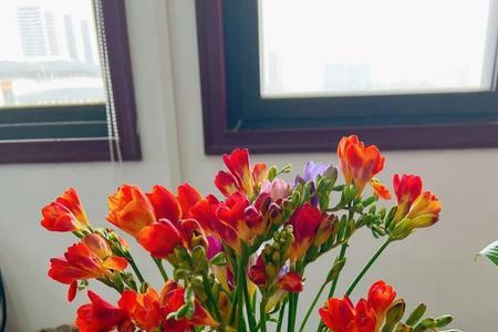 香气四溢是成语吗