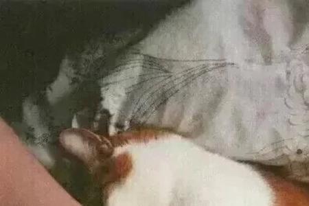 天冷了放个屁暖暖手吧什么意思