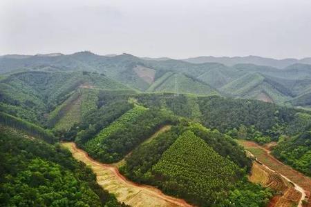 逃军山名称由来