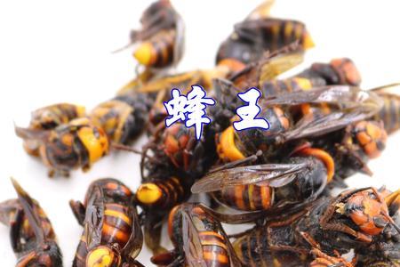 马蜂哪里收购
