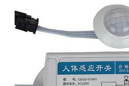 人体开关学创始人