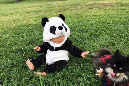 家里有4岁小孩适合养什么宠物