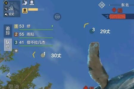 召唤神龙鲲还可以进化成什么