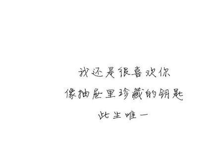 此生唯一太匆匆什么歌