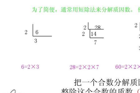 短除法为什么都要用质因数