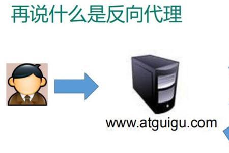 服务器语言有哪些