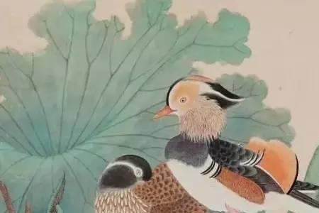 只现鸳鸯不现仙全诗