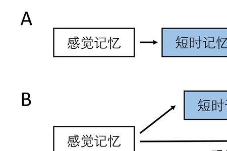 记忆细胞的分类