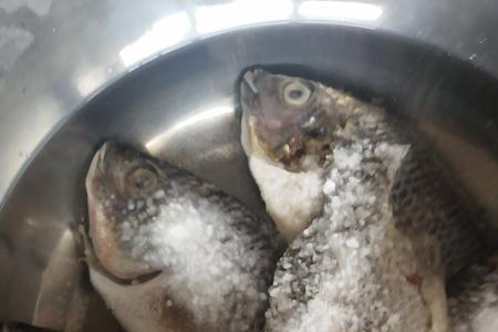 鱼盐可以消除水中的氯吗