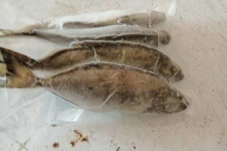 泥猛鱼为什么长不大