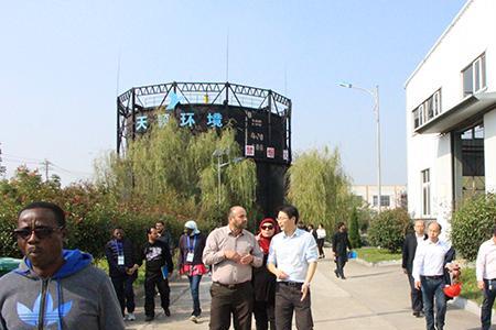 宝真股份有限公司主营业务