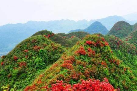 贵阳山脉有哪些