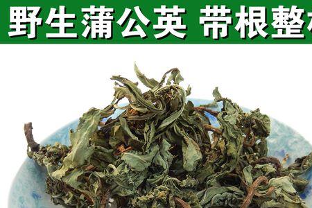 黄黄苗怎么泡茶喝