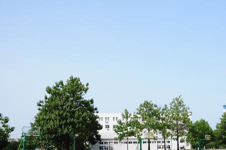 什么篮球比较好室外场的