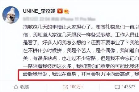 归来仍是素人什么意思