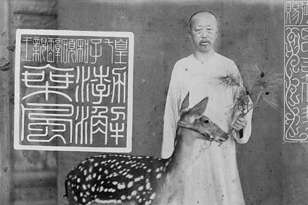 载沣的治国能力