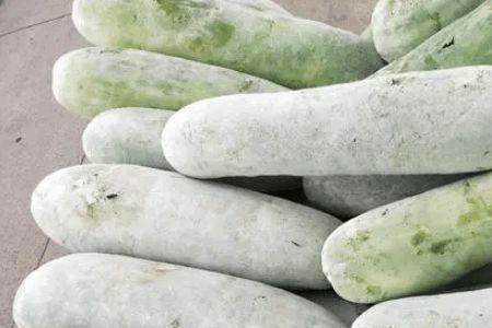 叫别人冬瓜是什么意思