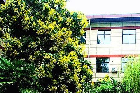 西安中学苗圃班介绍