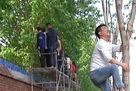 扒墙头的意思是什么
