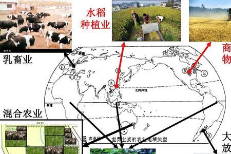 德国农业地域类型
