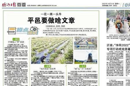 淘宝卖金银花要证件吗