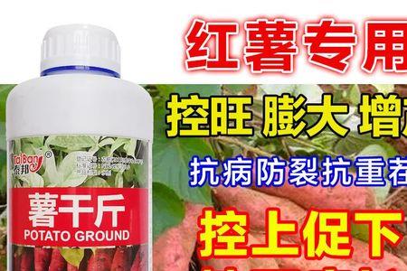 红薯使用膨大素要喷多少次