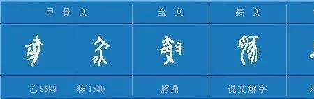 猪在古汉语中有哪些名称