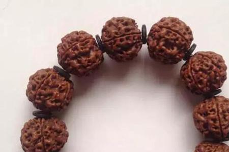 金刚菩提几乘几啥意思